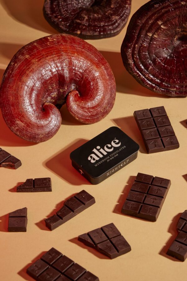 Alice Mushroom Chocolates